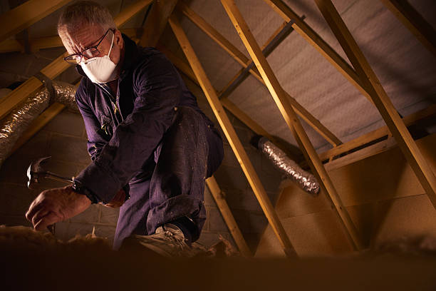 Best Specialized Insulation Services in Hampstead, NC